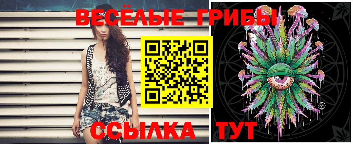 Нововоронеж  Галлюциногенные грибы Magic Shrooms  Вход с VPN 